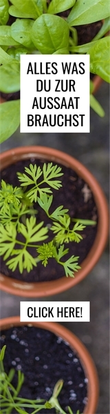 Skyscraper 160x600 Skyscraper 160x600