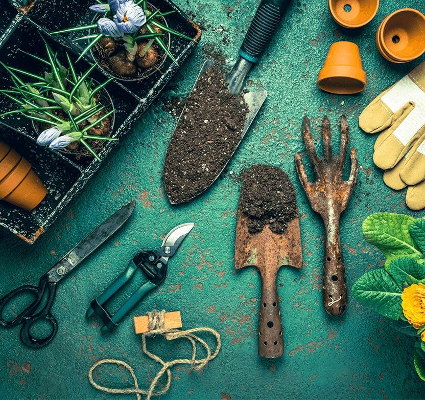 Garten 832x782 Garten 832x782